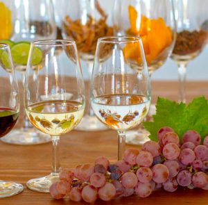 Pisco and Wine tour, Ica