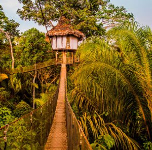 Tree house, Iquitos
