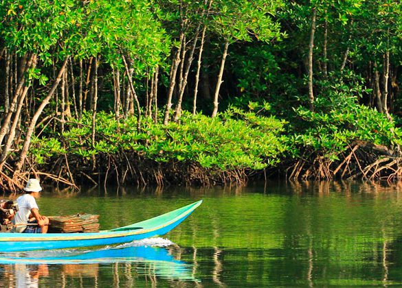 Arequipa, Puno, Cusco, Mapi, Selva