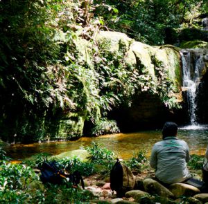 Amazon (Puerto Madonado), Cusco and Mapi